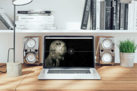 digital-grandts-com