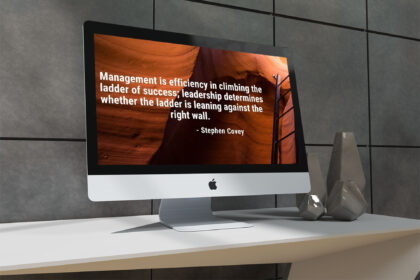 management-ladder