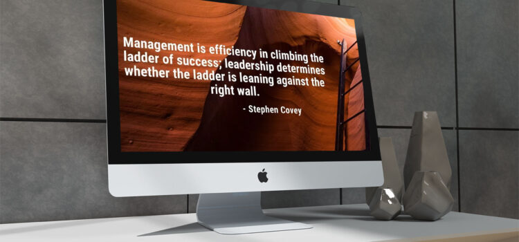 management-ladder